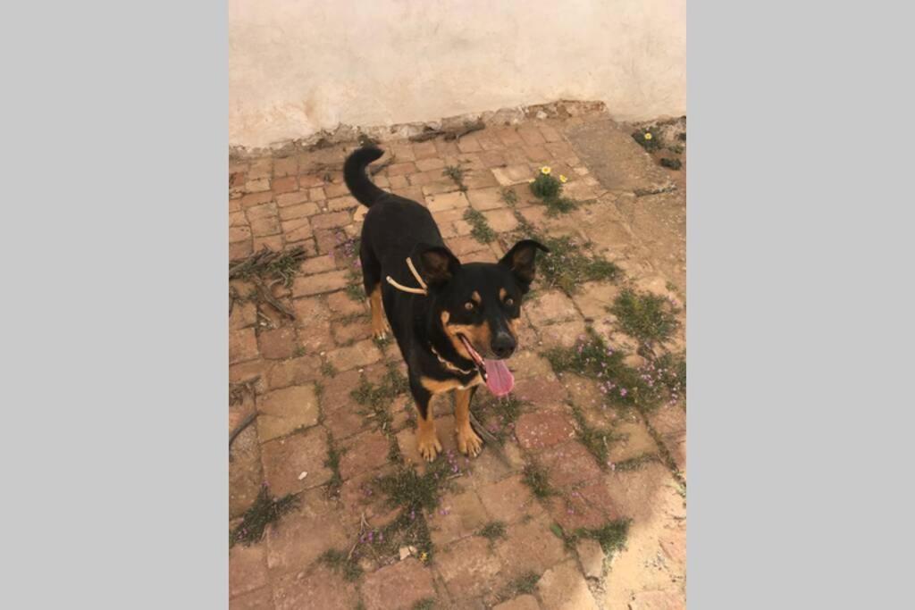 Casa Madre Tierra Daire La Pared  Dış mekan fotoğraf