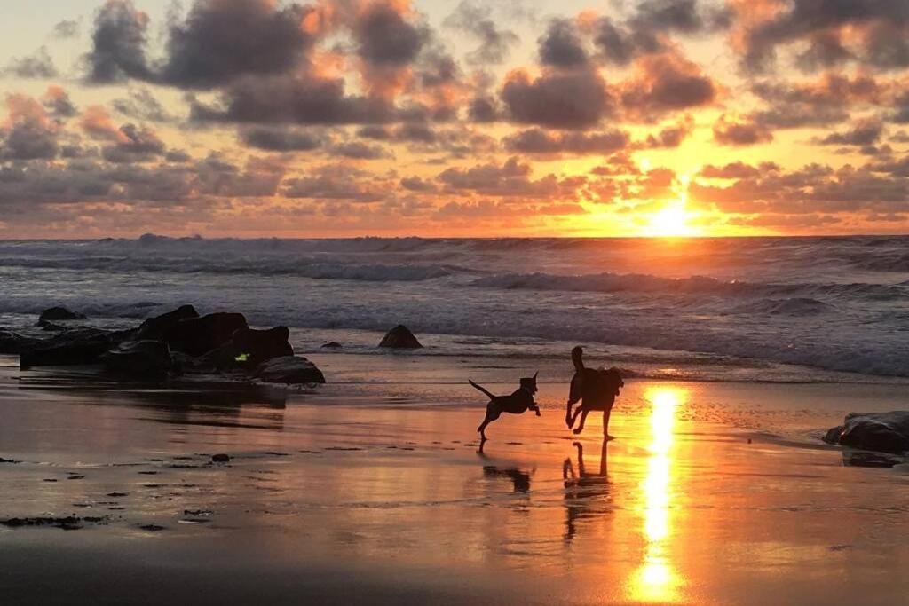 Casa Madre Tierra Daire La Pared  Dış mekan fotoğraf