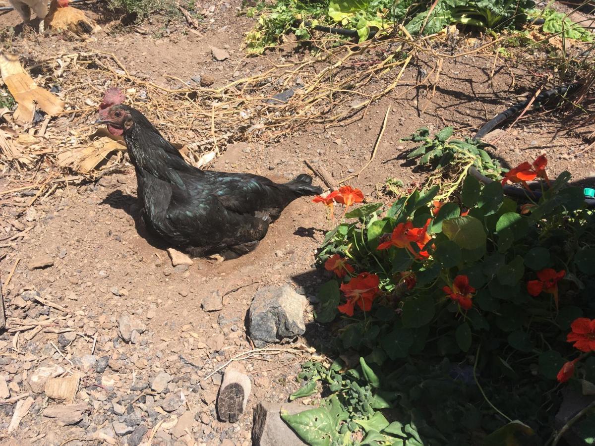 Casa Madre Tierra Daire La Pared  Dış mekan fotoğraf
